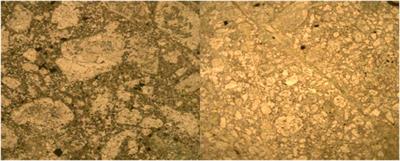 Effect of Tuff Powder Mineral Admixture on the Macro-Performance and Micropore Structure of Cement-Based Materials